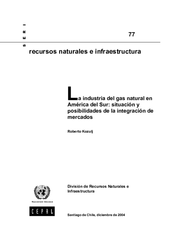 (PDF) La industria del gas natural en América del Sur: situación y ...