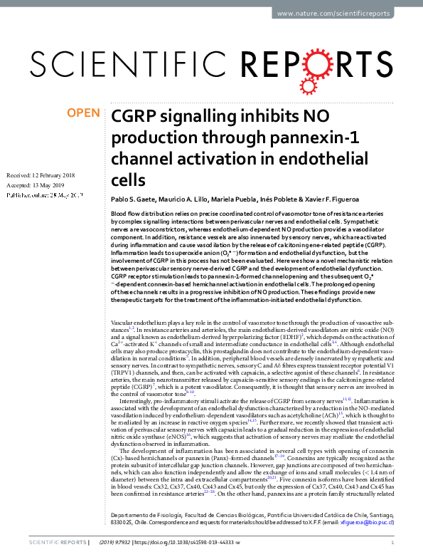 CGRP signalling inhibits NO production through pannexin-1 channel activation in endothelial cells