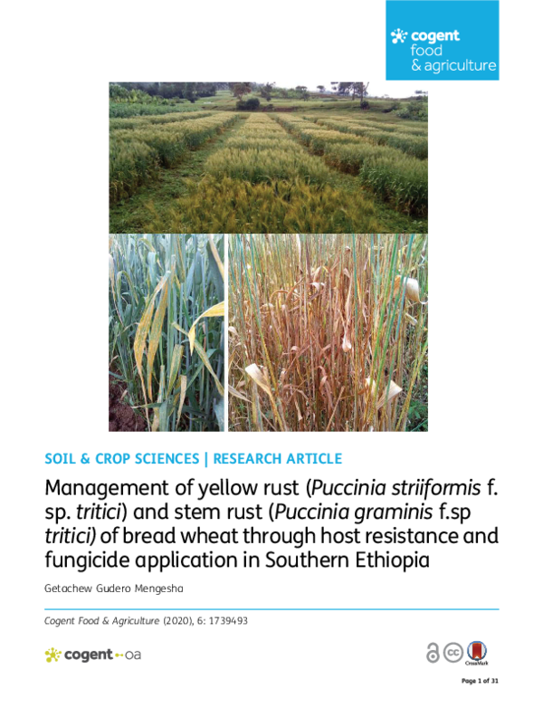 (PDF) Management of yellow rust (Puccinia striiformis f.sp. tritici ...