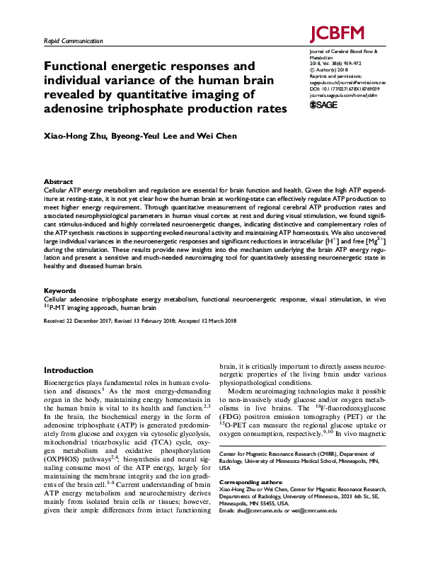 (PDF) Functional energetic responses and individual variance of the ...