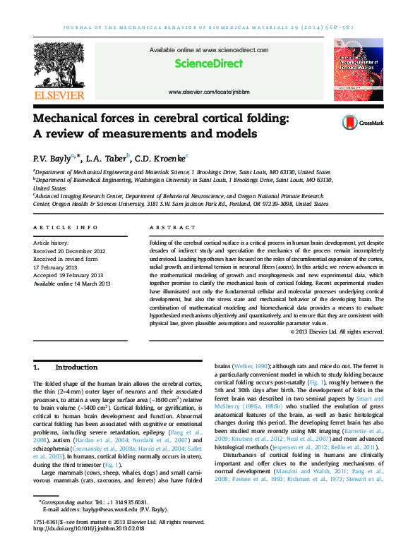 (PDF) Mechanical forces in cerebral cortical folding: A review of ...