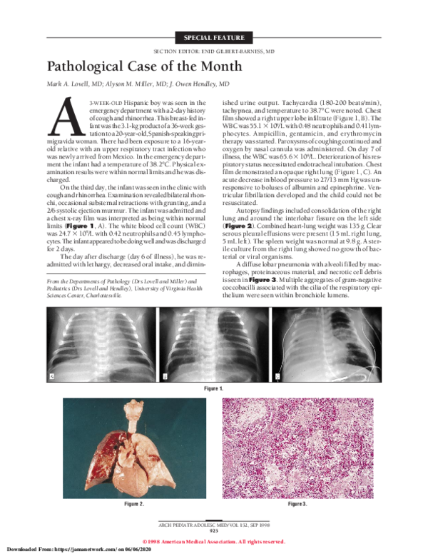 (PDF) Pathological Case of the Month