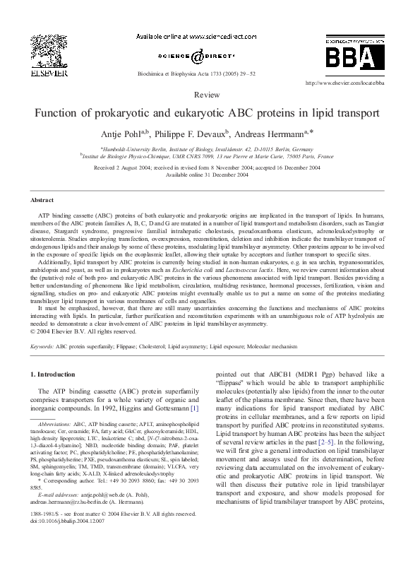 (PDF) Function of prokaryotic and eukaryotic ABC proteins in lipid ...