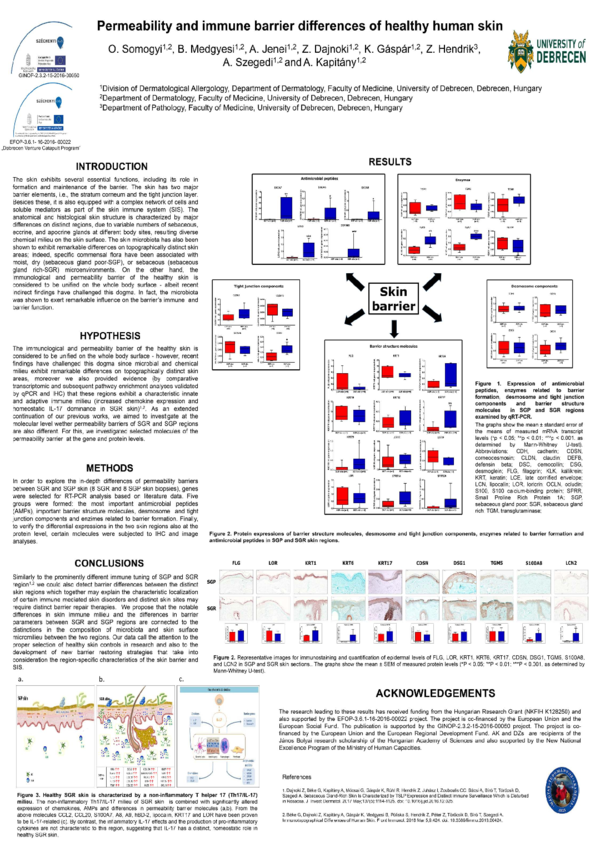 (PDF) Permeability and immune barrier differences of healthy human skin