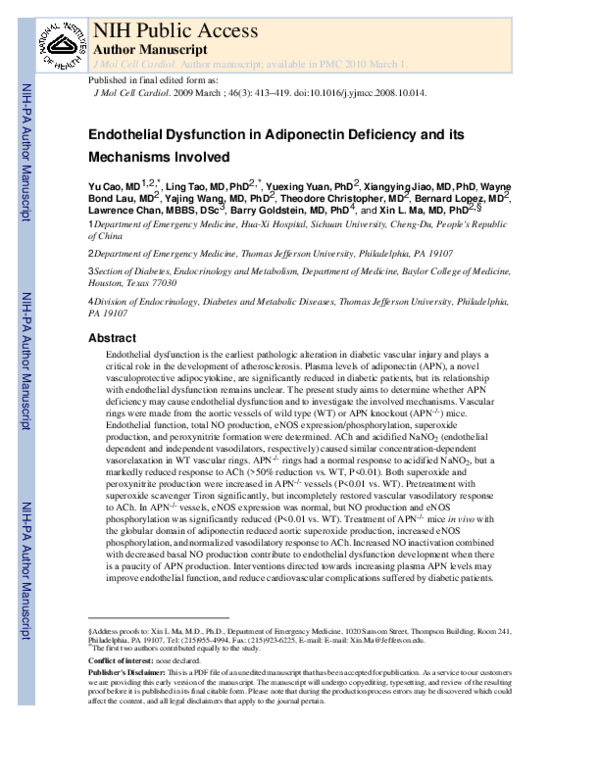 (PDF) Endothelial dysfunction in adiponectin deficiency and its ...