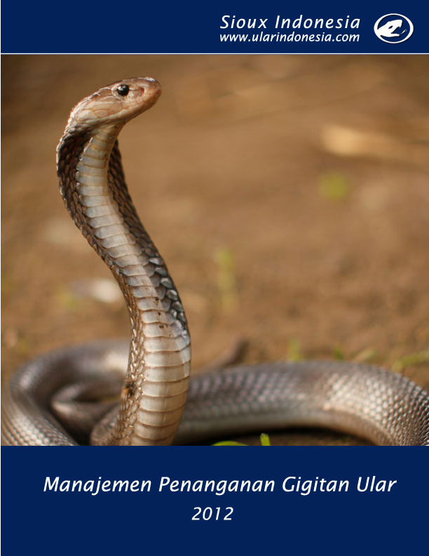 Kochada jinsiy aloqa firibgarligi