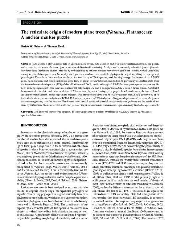 (PDF) The reticulate origin of modern plane trees (Platanus ...