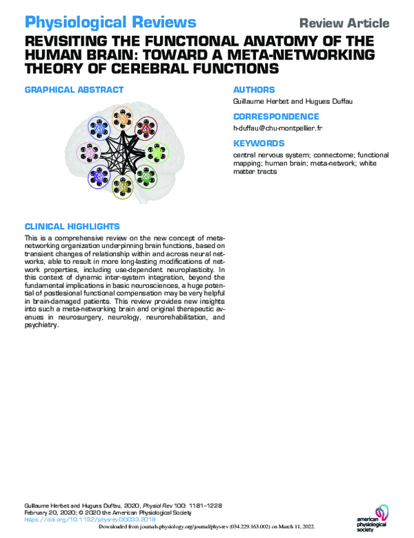 (PDF) Revisiting the functional anatomy of the human brain: Toward a ...
