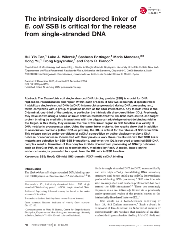 (PDF) The intrinsically disordered linker of E. coli SSB is critical ...