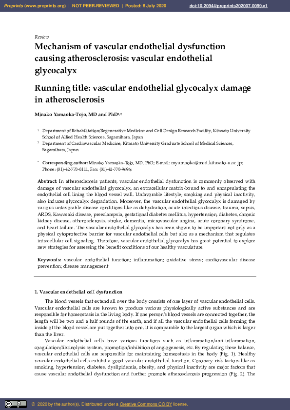 (PDF) Mechanism of Vascular Endothelial Dysfunction Causing ...