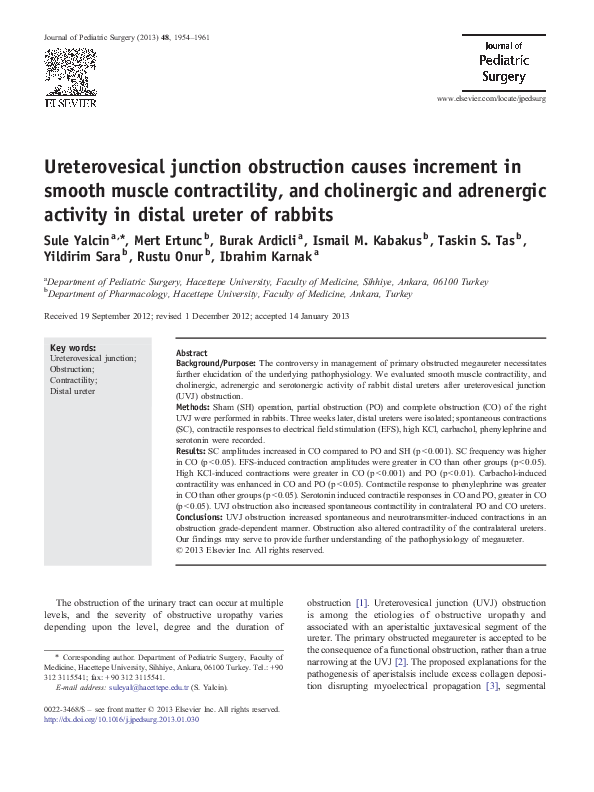 (PDF) Ureterovesical junction obstruction causes increment in smooth ...