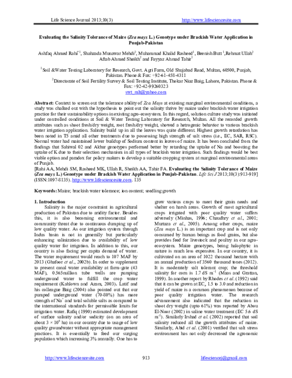 (PDF) Evaluating the Salinity Tolerance of Maize ( Zea mays L ...