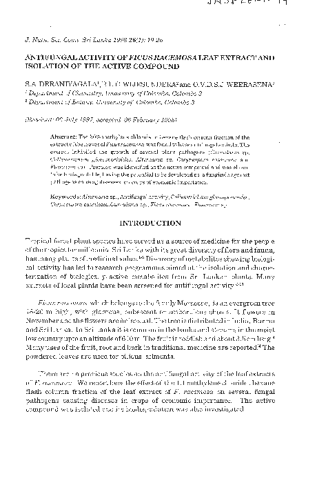 (PDF) Antifungal activity of Ficus racemosa leaf extract and isolation ...
