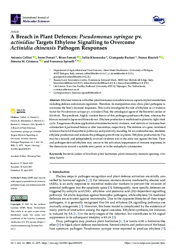 (PDF) A Breach in Plant Defences: Pseudomonas syringae pv. actinidiae ...