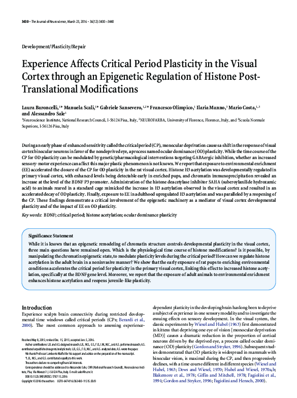 (PDF) Experience Affects Critical Period Plasticity in the Visual ...