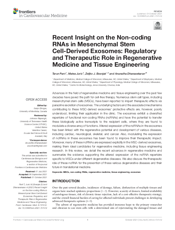 (PDF) Recent Insight on the Non-coding RNAs in Mesenchymal Stem Cell ...