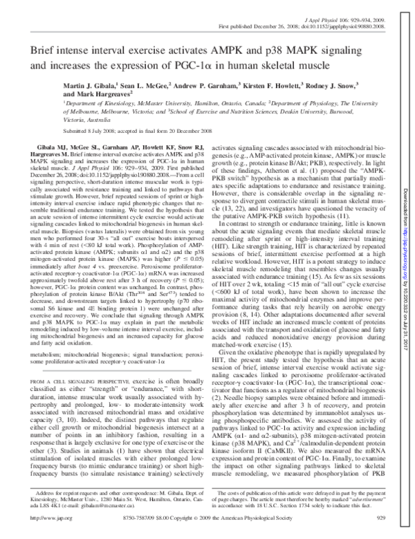 (PDF) Brief intense interval exercise activates AMPK and p38 MAPK ...