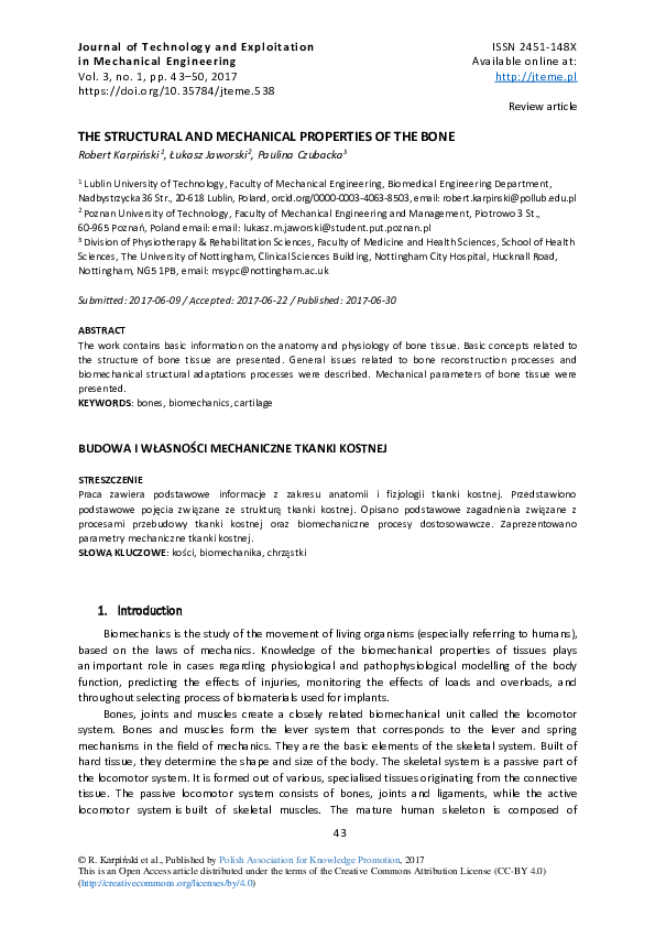 (PDF) The Structural and Mechanical Properties of the Bone
