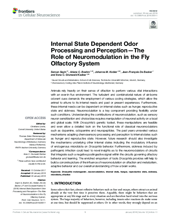 (PDF) Internal State Dependent Odor Processing and Perception-The Role ...