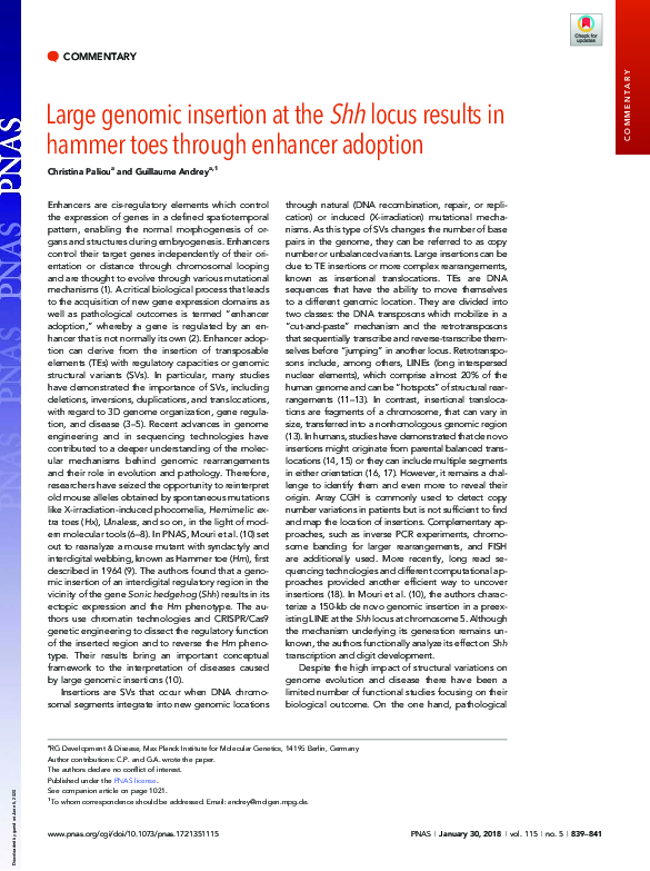 (PDF) Large genomic insertion at the Shh locus results in hammer toes ...