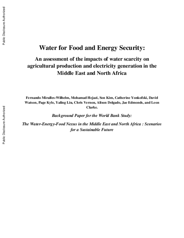 (PDF) Water for Food and Energy Security