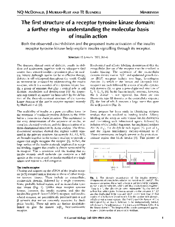 (PDF) The first structure of a receptor tyrosine kinase domain:a ...