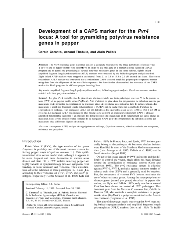 (PDF) Development of a CAPS marker for the Pvr4 locus: A tool for ...