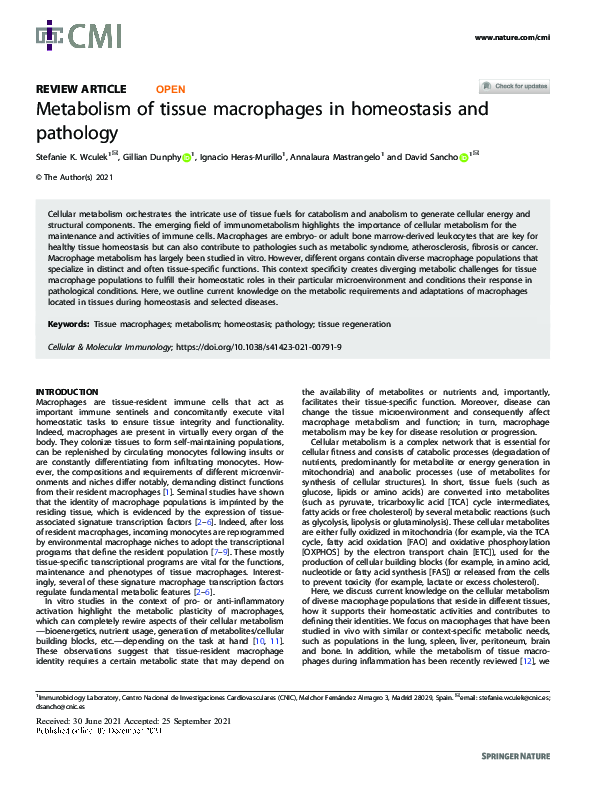 (PDF) Metabolism of tissue macrophages in homeostasis and pathology