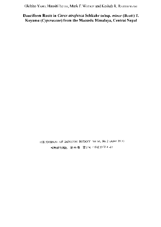 (PDF) Dauciform roots in Carex atrofusca subsp. minor (Cyperaceae) from ...