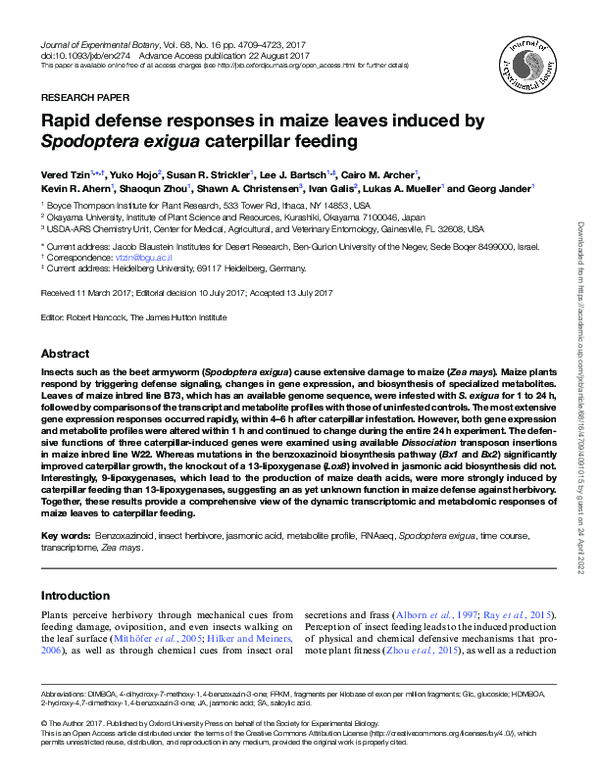 (PDF) Rapid defense responses in maize leaves induced by Spodoptera ...