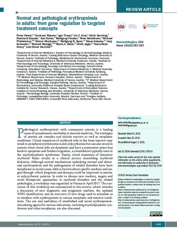 (PDF) Normal and pathological erythropoiesis in adults: from gene ...