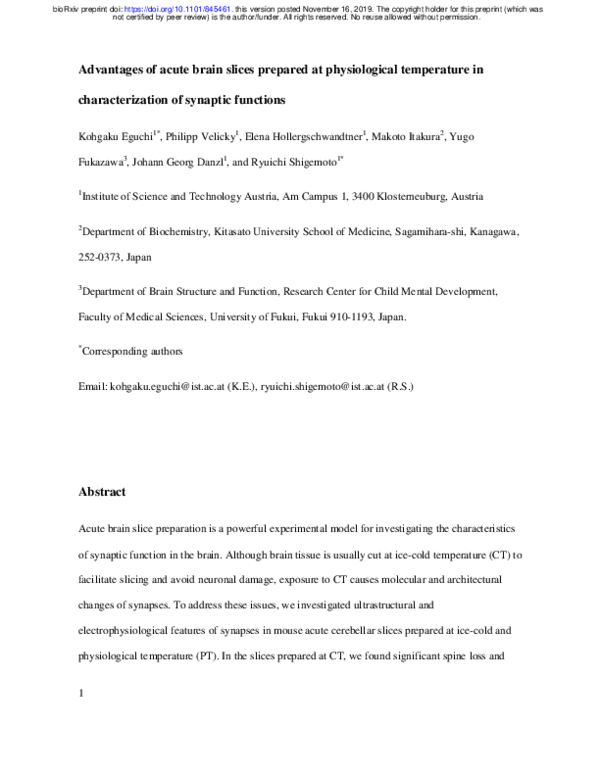 (PDF) Advantages of acute brain slices prepared at physiological ...