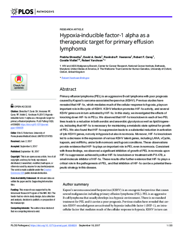 (PDF) Hypoxia inducible factor-1 alpha as a therapeutic target in ...