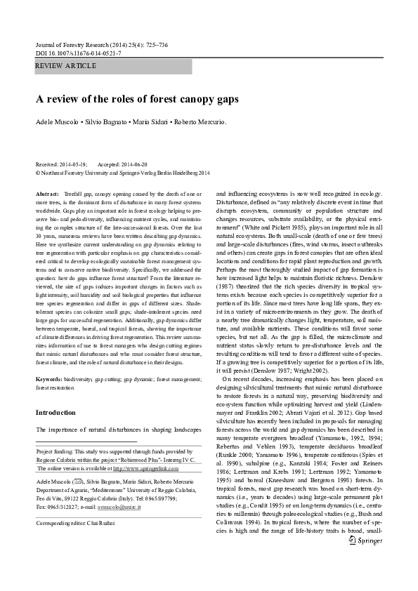 (PDF) A review of the roles of forest canopy gaps