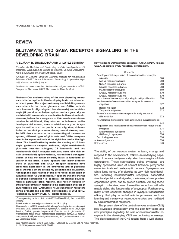 (PDF) Glutamate and GABA receptor signalling in the developing brain