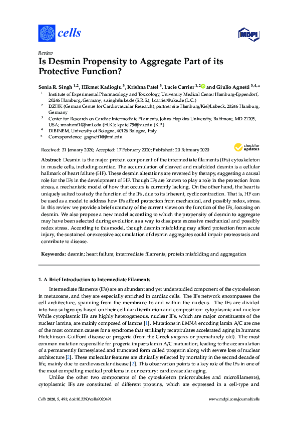 (PDF) Is Desmin Propensity to Aggregate Part of its Protective Function?