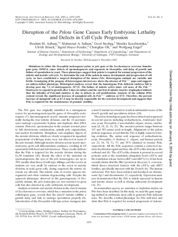 (PDF) Disruption of the Pelota Gene Causes Early Embryonic Lethality ...