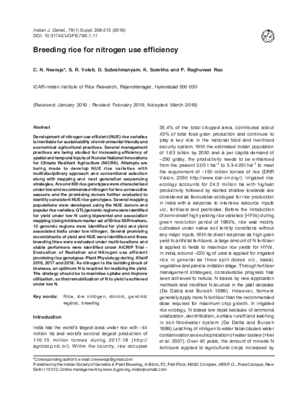 (PDF) Breeding rice for nitrogen use efficiency
