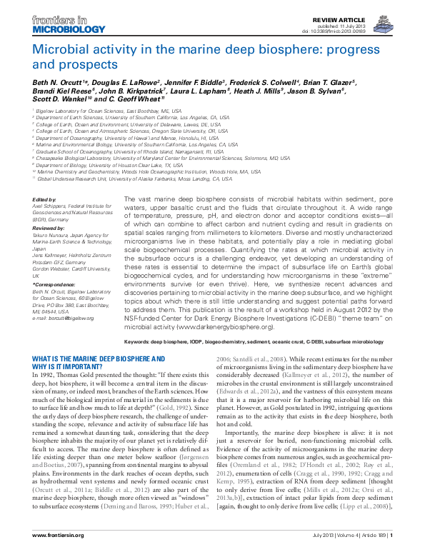 (PDF) Microbial activity in the marine deep biosphere: progress and ...