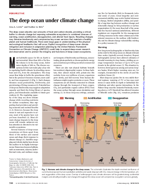 (PDF) The deep ocean under climate change