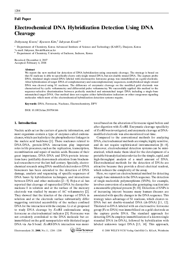 (PDF) Electrochemical DNA Hybridization Detection Using DNA Cleavage ...