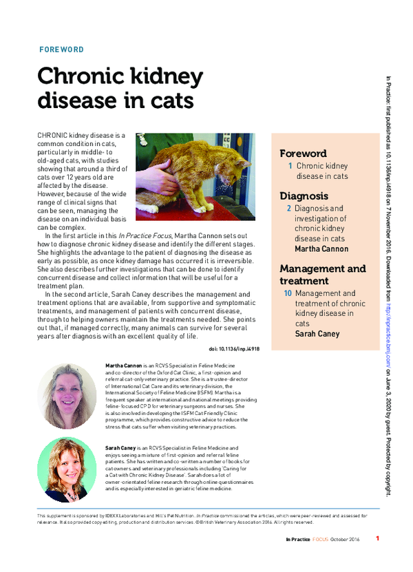 (PDF) Chronic kidney disease in cats