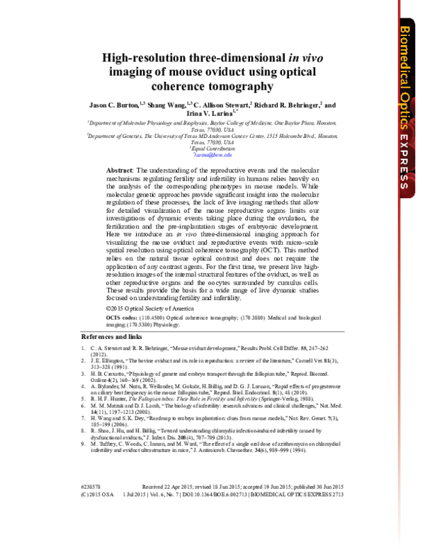 (PDF) High-resolution three-dimensional in vivo imaging of ...
