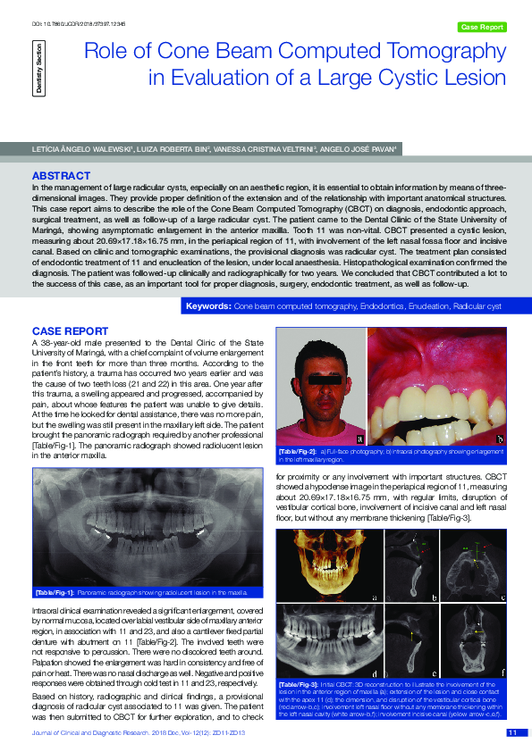 (PDF) Role of Cone Beam Computed Tomography in Evaluation of a Large ...