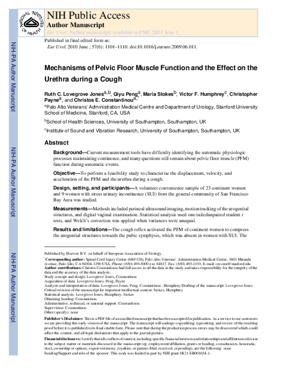(PDF) Faculty of 1000 evaluation for Mechanisms of pelvic floor muscle ...