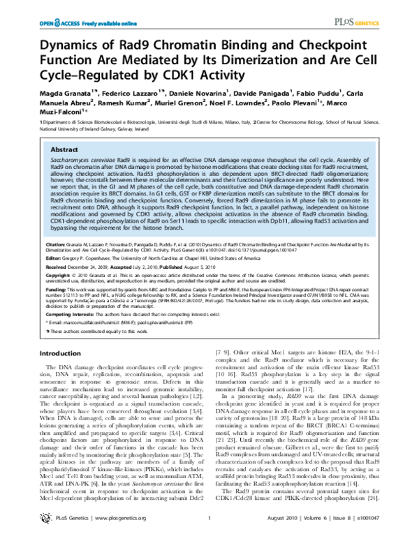 (PDF) Dynamics of Rad9 Chromatin Binding and Checkpoint Function Are ...