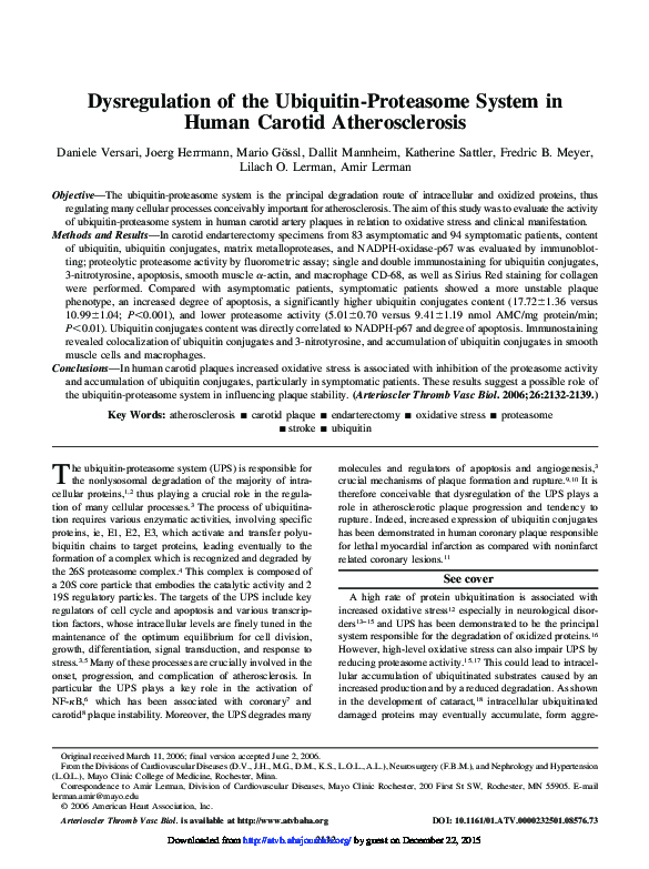 (PDF) Dysregulation of the Ubiquitin-Proteasome System in Human Carotid ...