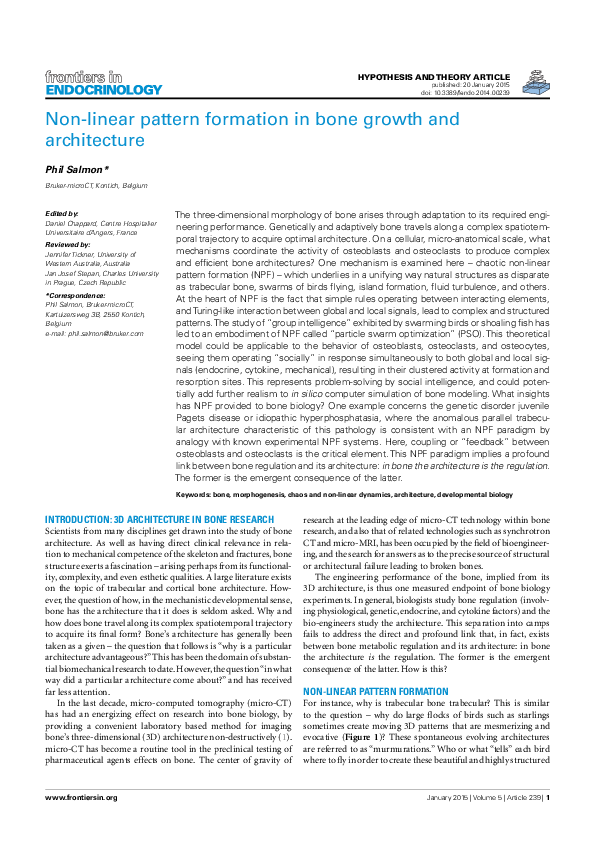 (PDF) Non-linear pattern formation in bone growth and architecture