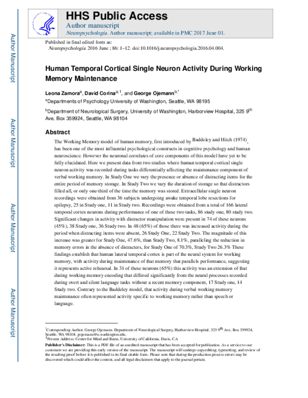 (PDF) Human Temporal Cortical Single Neuron Activity During Working ...