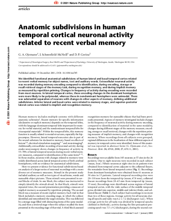 (PDF) Anatomic subdivisions in human temporal cortical neuronal ...